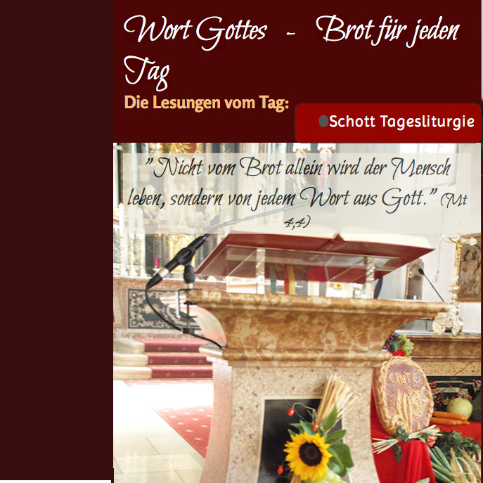 Das Evangelium verstehen - Sonntagspredigt aus Maria Linden